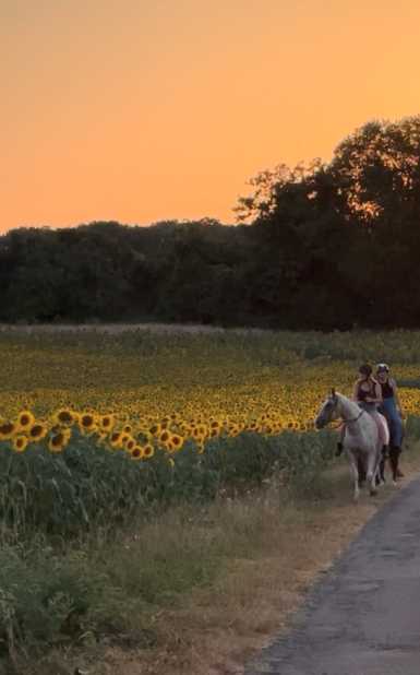 Meilleure balade à cheval 