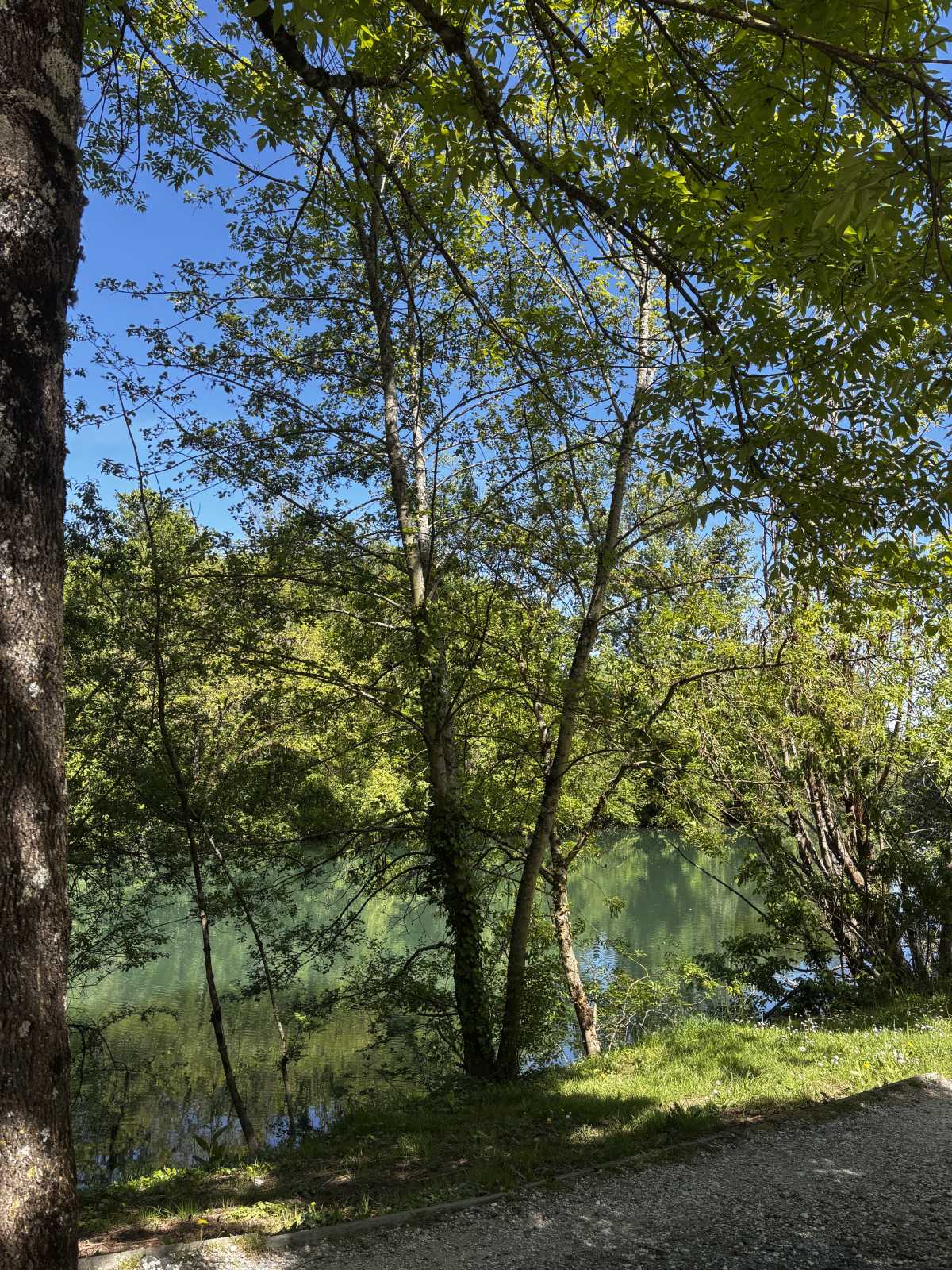 Balade en bord de Charente